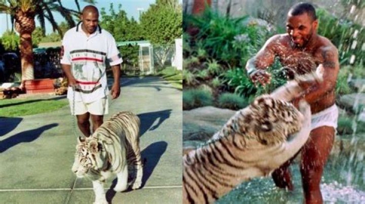 All You Need To Know About Mike Tyson's Wife