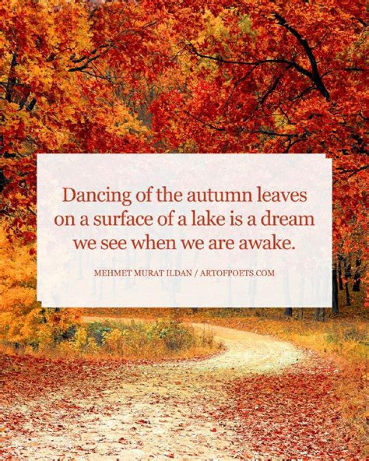 Embracing The Beauty Of Autumn High Age