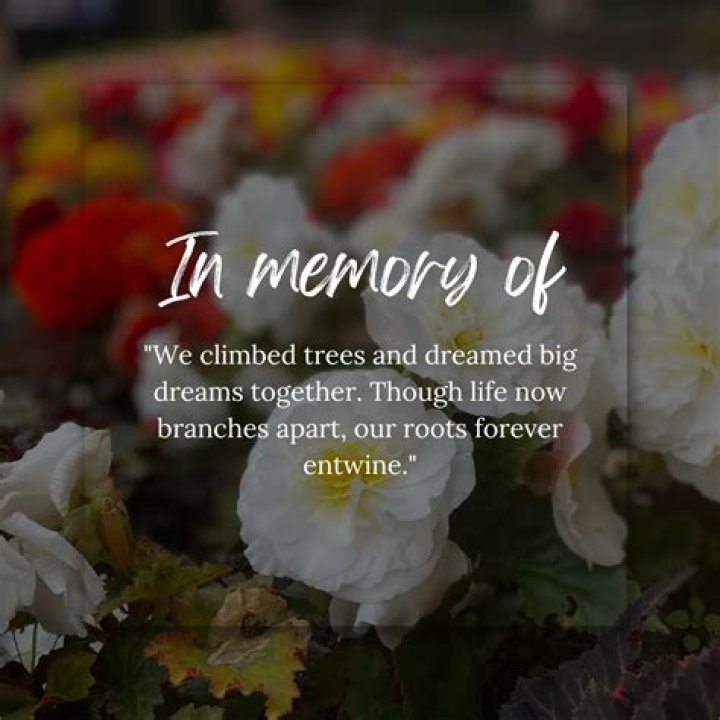 In Memoriam: Remembering Jeremy Speros