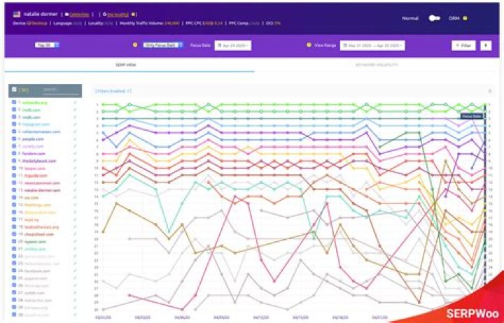 Mastering Your SEO Strategy With Rank Tracking SerpWoo