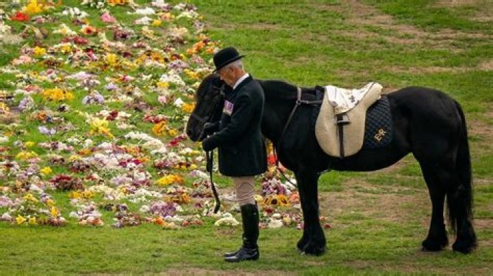 Sonia Pizarro: A Lasting Legacy Remembered At Her Funeral