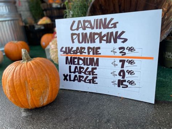 The Ultimate Guide: Pumpkin Pricing Unraveled