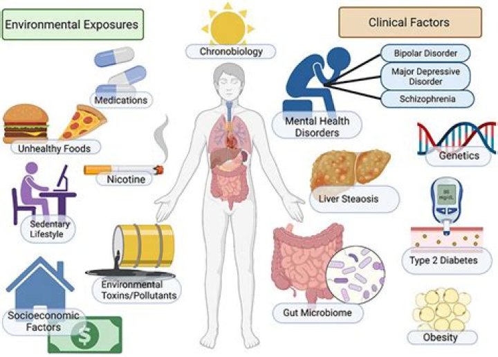 The Ultimate Guide To Adasha Disease: Symptoms, Diagnosis, And Treatment