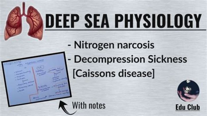 Understanding Ambani's Son Sickness: A Deep Dive Into Health And Wealth
