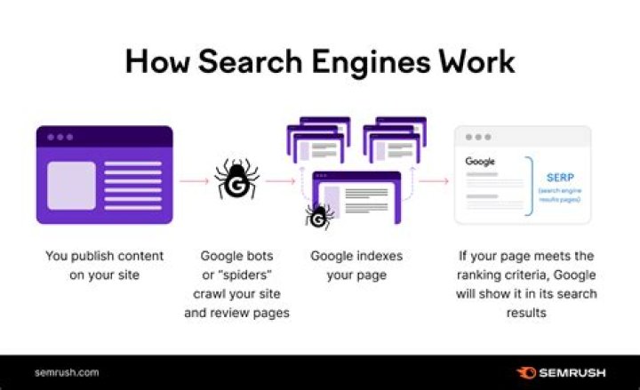 Unlocking The Secrets: How To Find The Google Rank Of Your Website
