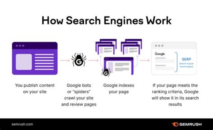 Unlocking Your Website's Potential With A Free Google Search Engine Ranking Checker Tool