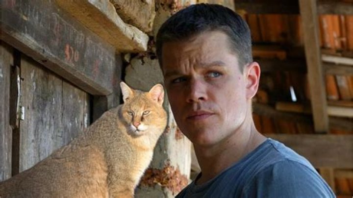 Unraveling The Life And Career Of Matt Damon