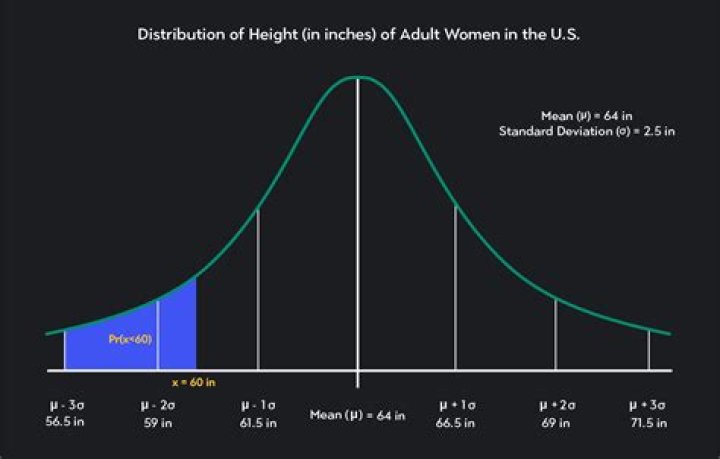 Unveiling The Height Of A Legend: How Tall Is Gene Kelly?